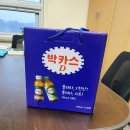 군포의 박카스 D (o^^)o 이미지