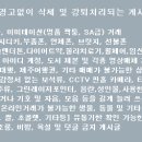 내외로L 이미지