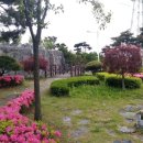 정왕체육공원2 이미지