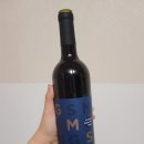 지엠에스(GMS) 이미지