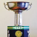 배프로골프 이미지