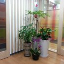 아이큰햇빛어린이집 이미지