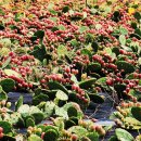 백학저수지 이미지