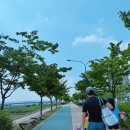 244-운정3-244 | 2024년 파주도시관광공사 운정 문산 어린이물놀이장 후기 및 궁금한점 총정리