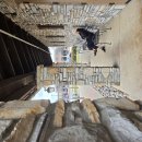 올리브가든 이미지