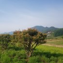 국토종주자전거길1-34 이미지