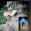 김주희농장 이미지