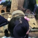 대지슈퍼 | 충북 단양여행 아이와가볼만한곳 다누리아쿠아리움 할인팁 후기