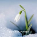 프로젝트캘리 이미지