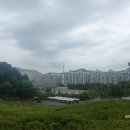 대정읍 힐링타운 입구 | 불암산 힐링타운 카페포레스트 &amp; 하남 중식당 정온 후기 feat.촘초밀 케이크