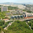 수시114컨설팅 이미지