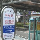 굿모닝퍼피 | 발리에서 생긴 일