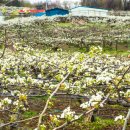 왕지3길 이미지