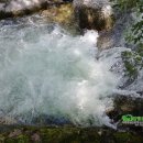 양평엔옥천공인중개사사무소 이미지