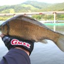 물반고기반낚시터 이미지