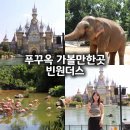 기린여행사(주) | 푸꾸옥 빈원더스 티켓 빈펄사파리 피크타임 주트램