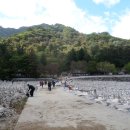 영원7주유소 이미지