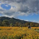 행운공인중개사사무소 | 부동산의 모든 순간, 남양주공인중개사와 함께하는 이유