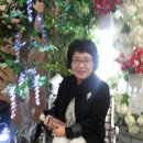 차광남 이미지