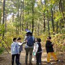 마송중앙초등학교 서울매일