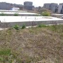 강정동-25 이미지