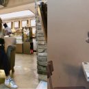 큐리애견 이미지