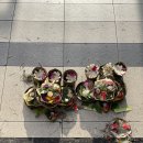 발리당구장 이미지