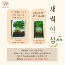 새싹농원 이미지