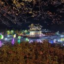 서동공원 | 익산시 금마면 &#39;서동공원&#39; 야경 관람 후기
