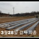 안동흙돼지농장 이미지