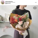 플랑드주아 이미지