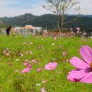 축제광장 이미지