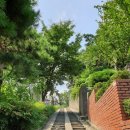 3.1만세운동길 이미지