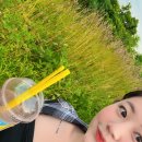 백령도홈마트 이미지