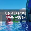 대덕호수텔 | 강릉 세인트존스호텔 인피니풀티 수영장후기
