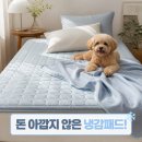 풍기인견천연염색백화점 | 돈 아깝지 않은 냉감패드 냉감이불 고르는 방법