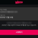 회참치살롱 이미지