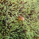 바다의숲 이미지