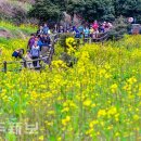 색달동-18 이미지