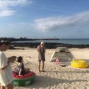 하루민박 이미지