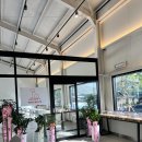 군산 개정 신상애견카페 피피엘 PPL 내돈내산 후기