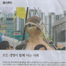 시민사 이미지