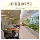 세라젬 웰카페 파우제M6 온열볼 안마의자 이용방법 판교 체험후기
