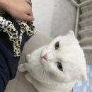 [수수네일] 실력 좋고 손 빠른 부평동 네일아트 솔직 후기