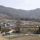 상송조경