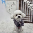 지개동산 이미지