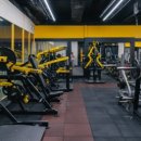 아인스 휘트니스 이미지