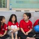 태양태권도 이미지