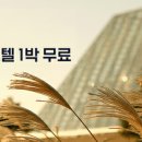 호텔휘닉스 이미지