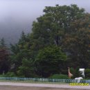 영월초등학교연상분교 이미지